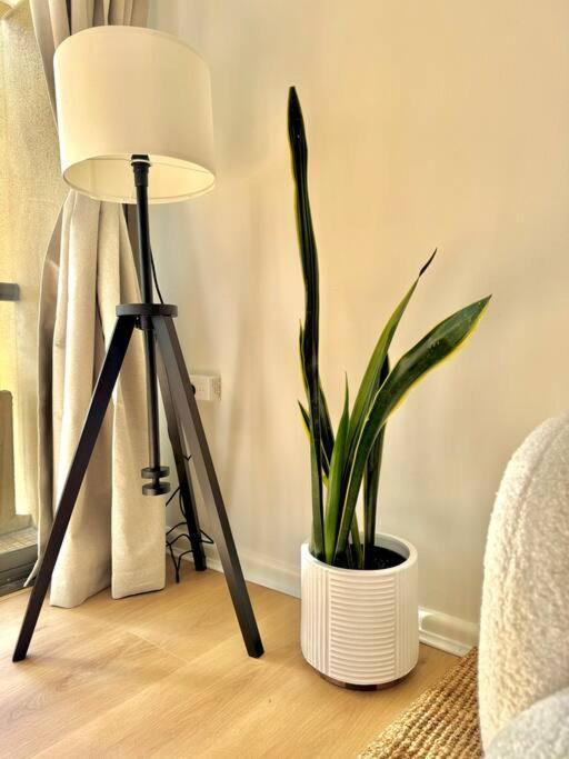 Apartment Stylish With Amazing Pool Sydney