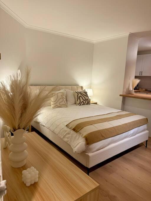 Apartment Stylish With Amazing Pool Sydney
